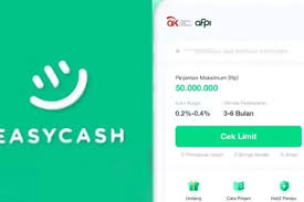 Pinjol Bunga Rendah Cepat Cair dengan Easycash, Berikut 5 Kelebihan yang Bisa Kamu Dapatkan