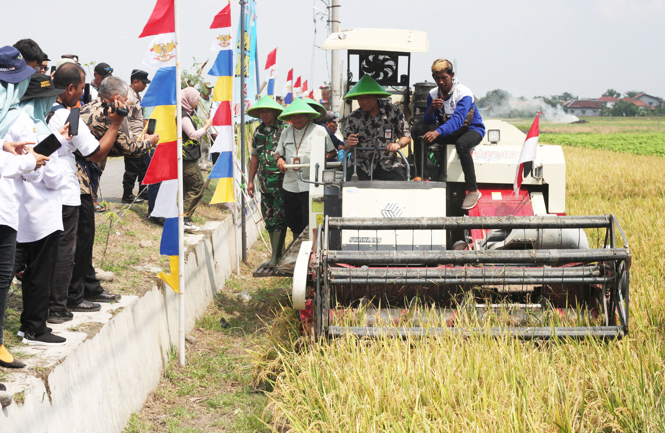 Sekda Kota Tegal Pimpin Panen Demplot Padi Organik di Kalinyamat Kulon ‎