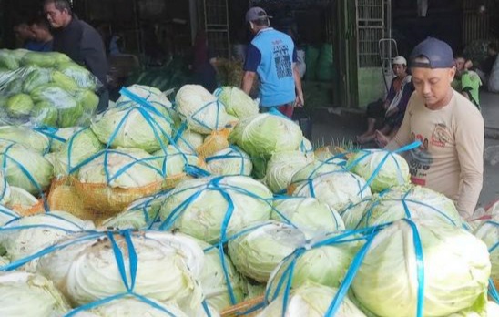 Harga Kol Anjlok hingga Rp500 per Kilogram di Kabupaten Pemalang 