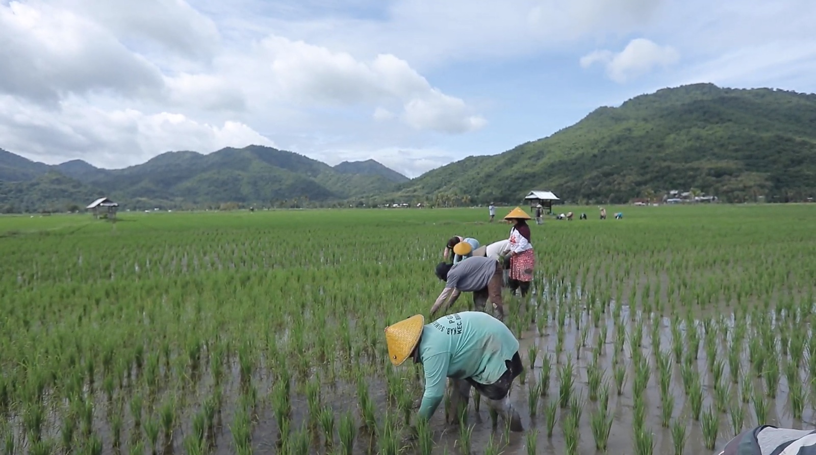 Desa Manemeng Perkuat Ekosistem Ekonomi Kerakyatan melalui Program Desa BRILiaN