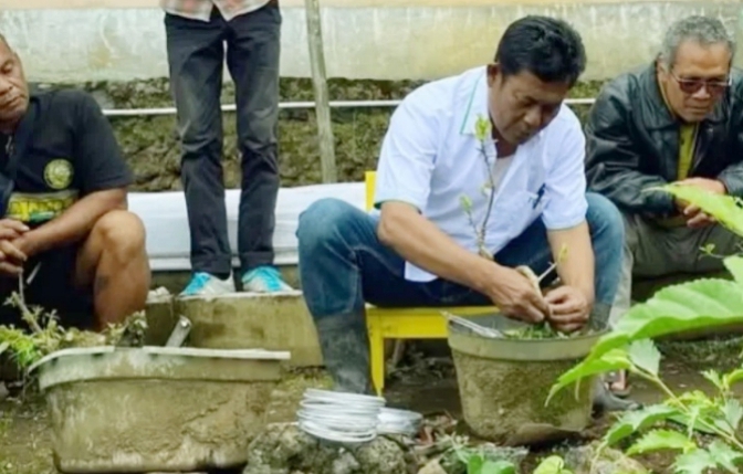 Buruh Tani Tembakau dan Cengkeh di Kabupaten Pemalang Dilatih Bonsai