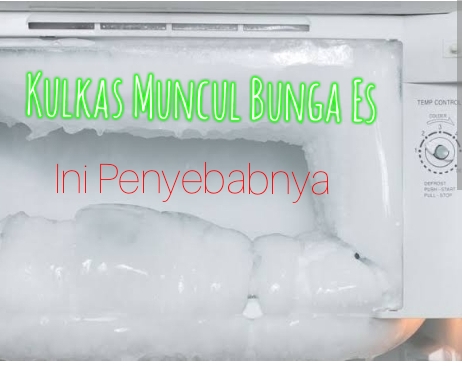 Kulkas Muncul Bunga Es, Ini Penyebabnya!Nomor 2 Sering Kita Lakukan