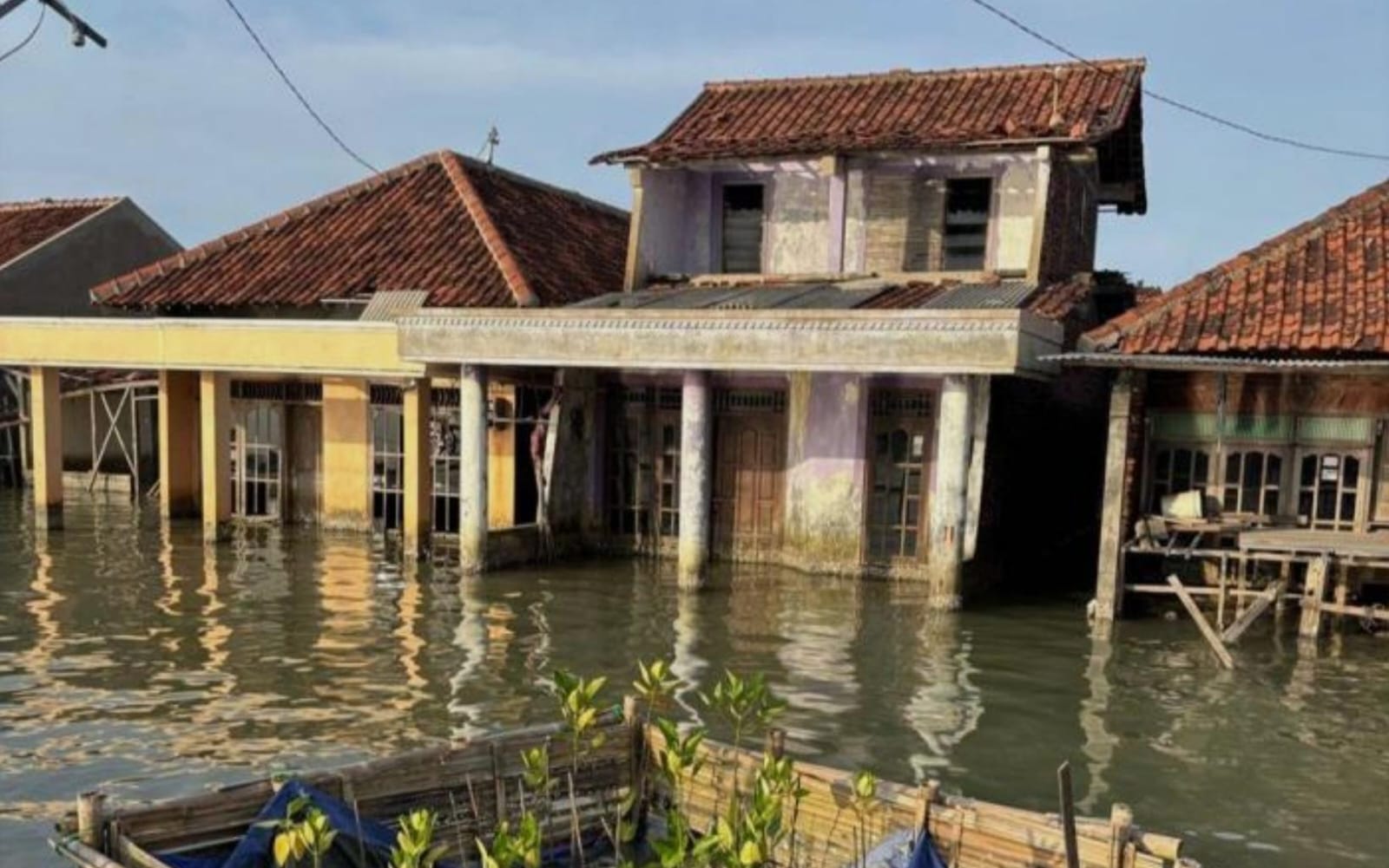 Abrasi Timbulsloko Disebut Capai 279 Meter per Tahun, Daratan Terus Terancam