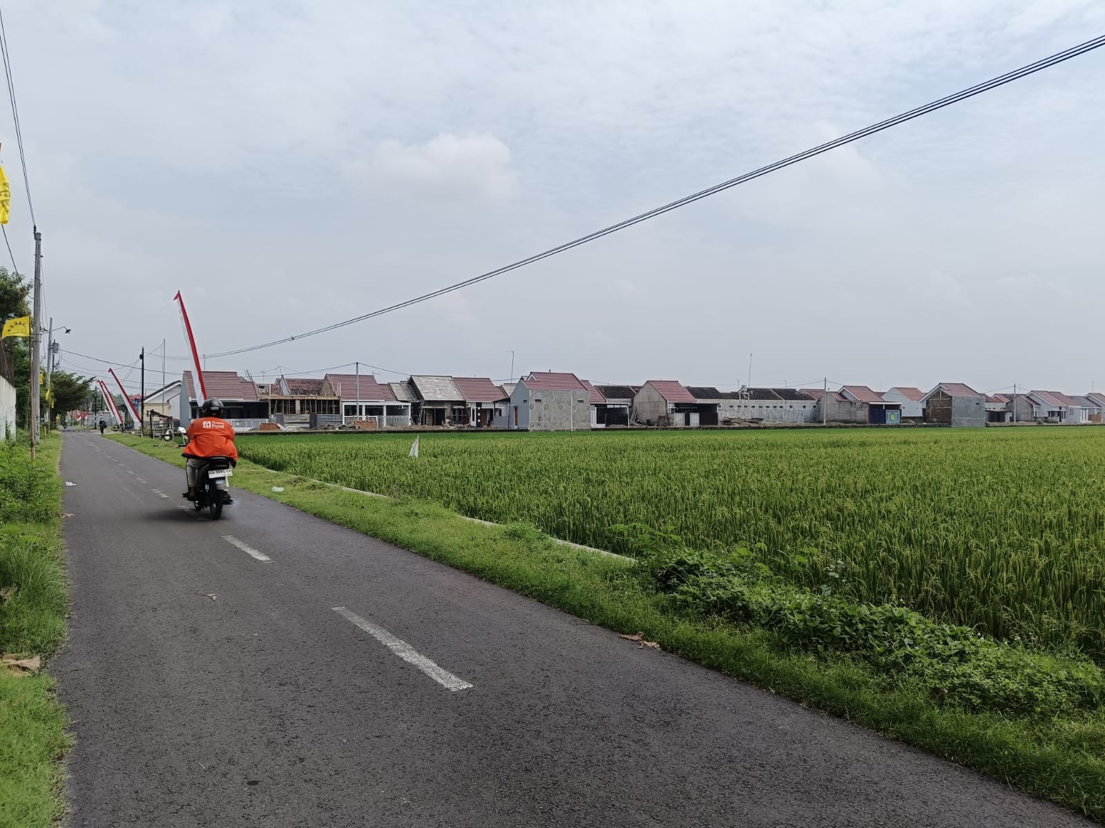 Lumbung Padi di Sragen Bakal Jadi Cerita Dongeng, Lahan Sawah Berubah Jadi Gudang dan Perumahan