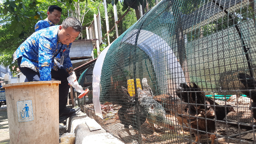 Kecamatan Semarang Barat Sulap Lahan Kantor Jadi Taman Edukasi Ayam KUB untuk Cegah Stunting