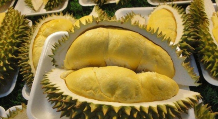 Catat! Inilah 8 Manfaat Durian Bagi Kesehatan Tubuh Anda, Serta Efek Samping yang Terjadi