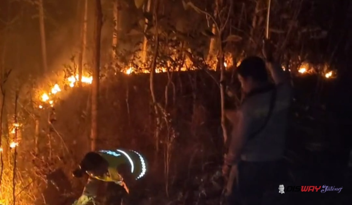 Dua Kebakaran Landa Kebumen dalam Semalam, 3 Hektare Lahan Terbakar