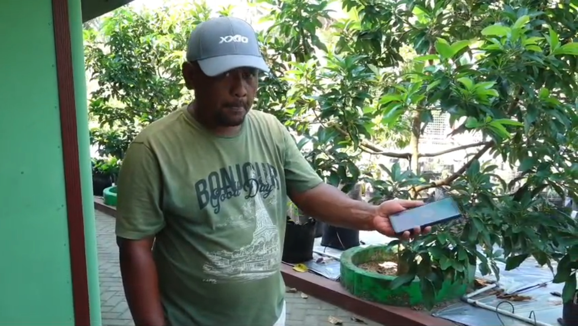 Kebun Digital di Kebumen, Bertani Kini Cukup Lewat Genggaman Tangan