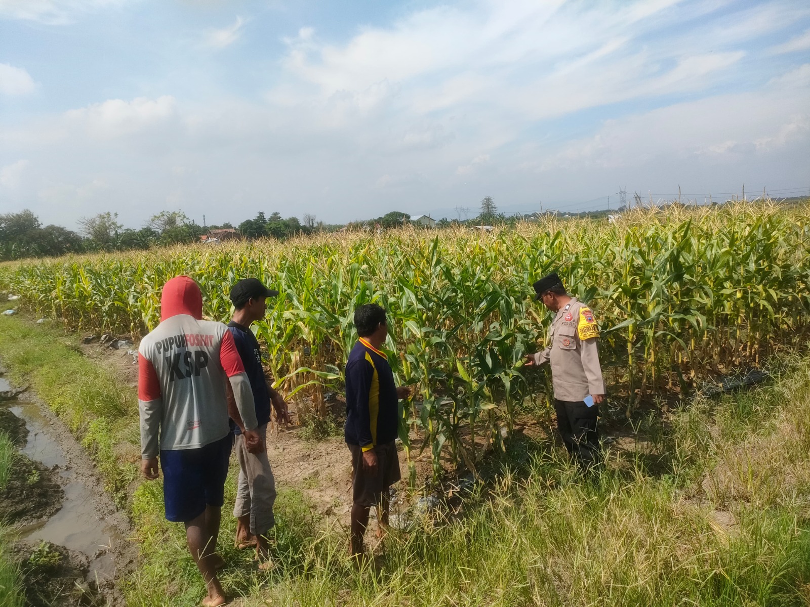 Pendampingan Kelompok Tani, Polres Tegal Perkuat Kemandirian Pangan