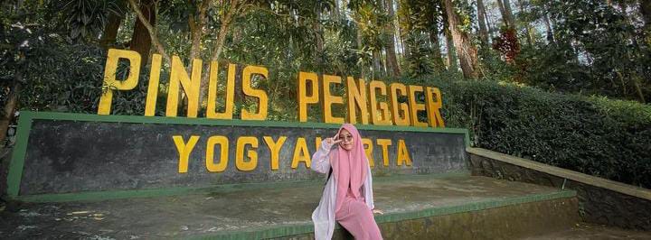 Hutan Pinus Pengger: Wisata Alam dengan Keindah Alami yang Ada di Yogyakarta