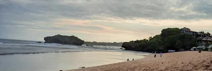 Pantai Sundak Jogja: Cerita Sejarah Menarik Tentang Perkelahian Hewan 