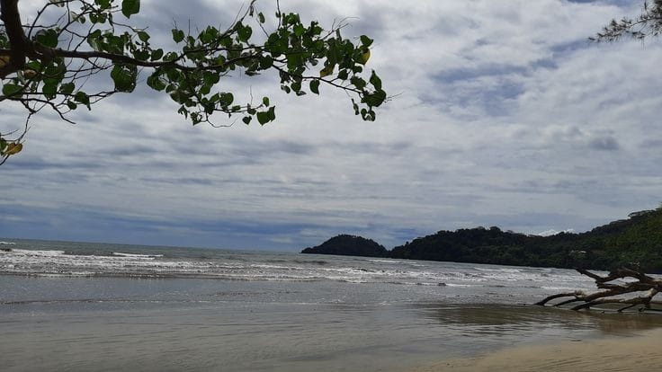 Wah Ternyata Cilacap Memiliki Banyak Pantai Loh, Apa Saja? Simak Berikut Ini!