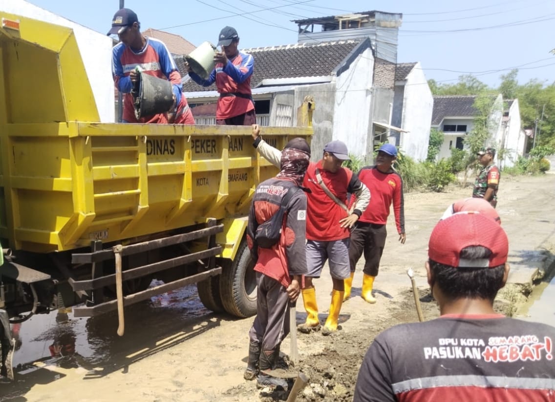 Banjir Semarang: Tanggul Dinar Indah Diperkuat Trucuk Bambu, Ribuan Sandbag Dipasang