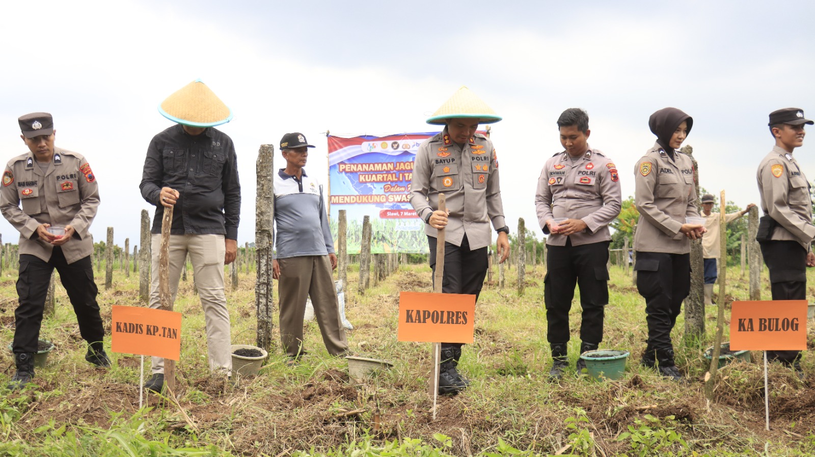 Dukung Swasembada Pangan, Kapolres Tegal Pimpin Penanaman Jagung Serentak 