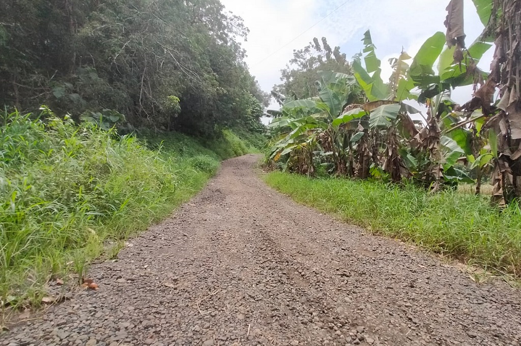 Viral di Medsos, Jalan Penghubung Empat Desa di Subah Batang Rusak Parah