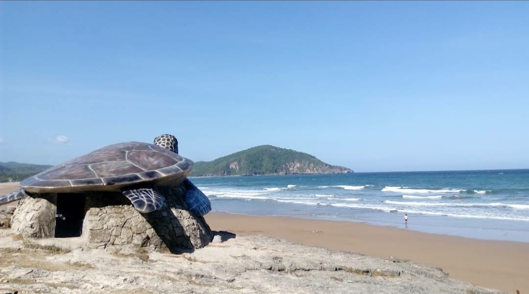 Pantai Taman Pacitan: Pantai yang Menawarkan Keindahan Sekaligus Habitatnya Beragam Penyu