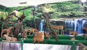 Wisata Keluarga! Kebun Binatang Semarang Zoo, Salah Satu Destinasi Wisata Edukasi Terbaik di Semarang