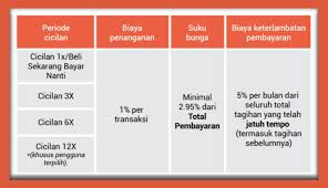 Inilah Fakta Menarik tentang Cicilan Shopee Paylater