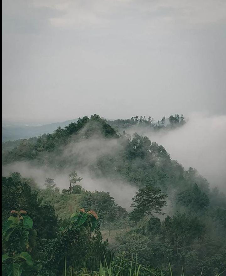 Menikmati Sunrise di Bukit Banda Kalikemong Kebumen Jawa Tengah