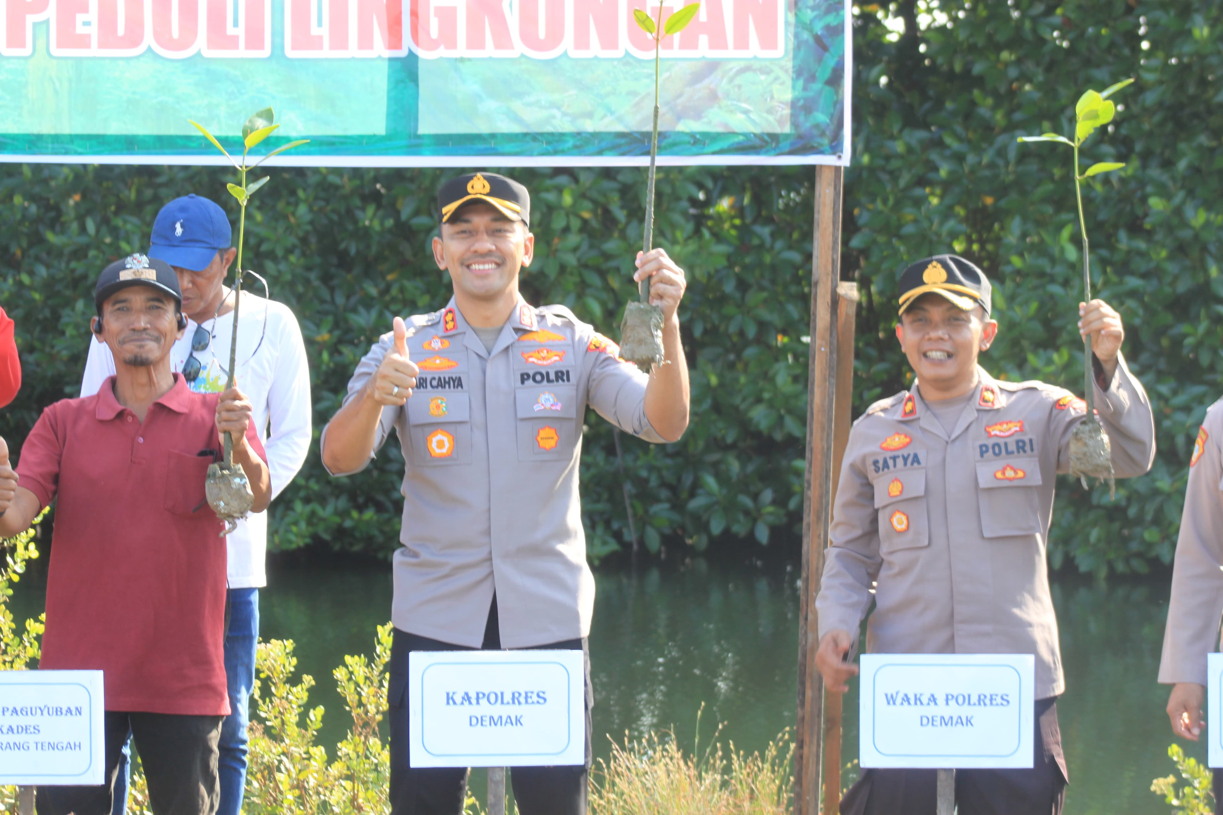 Abrasi dan Banjir Rob Meluas, Polres Demak Tanam 1.500 Pohon Mangrove