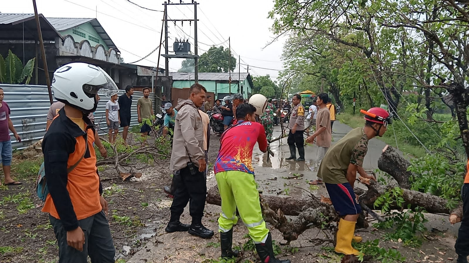 Tertimpa Pohon, Pembonceng Motor Meninggal di Tempat 