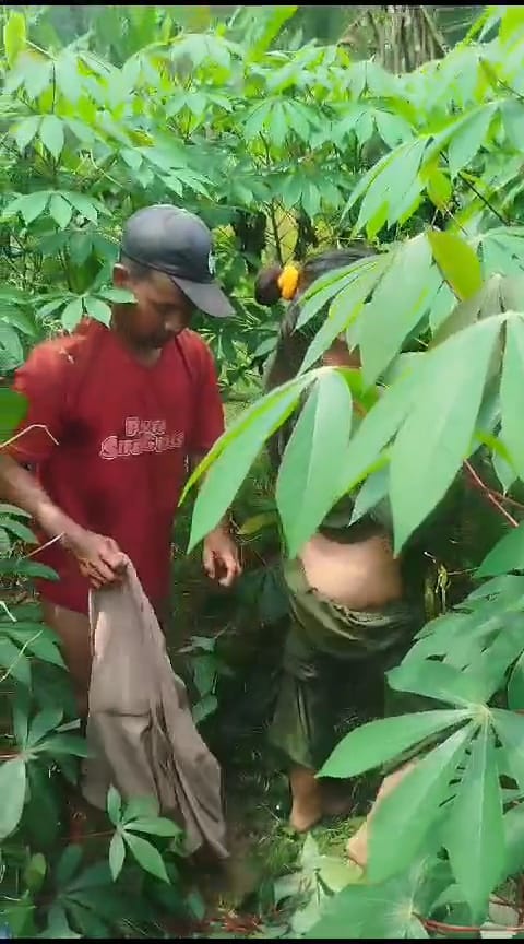 Viral di Medsos! Sepasang Kekasih Digrebek Warga di Kebun Singkong Desa Sono