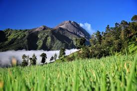 Dibalik Keindahannya Ada 5 Misteri Gunung Merbabu, Salah Satunya Diincar Setan Gendong!