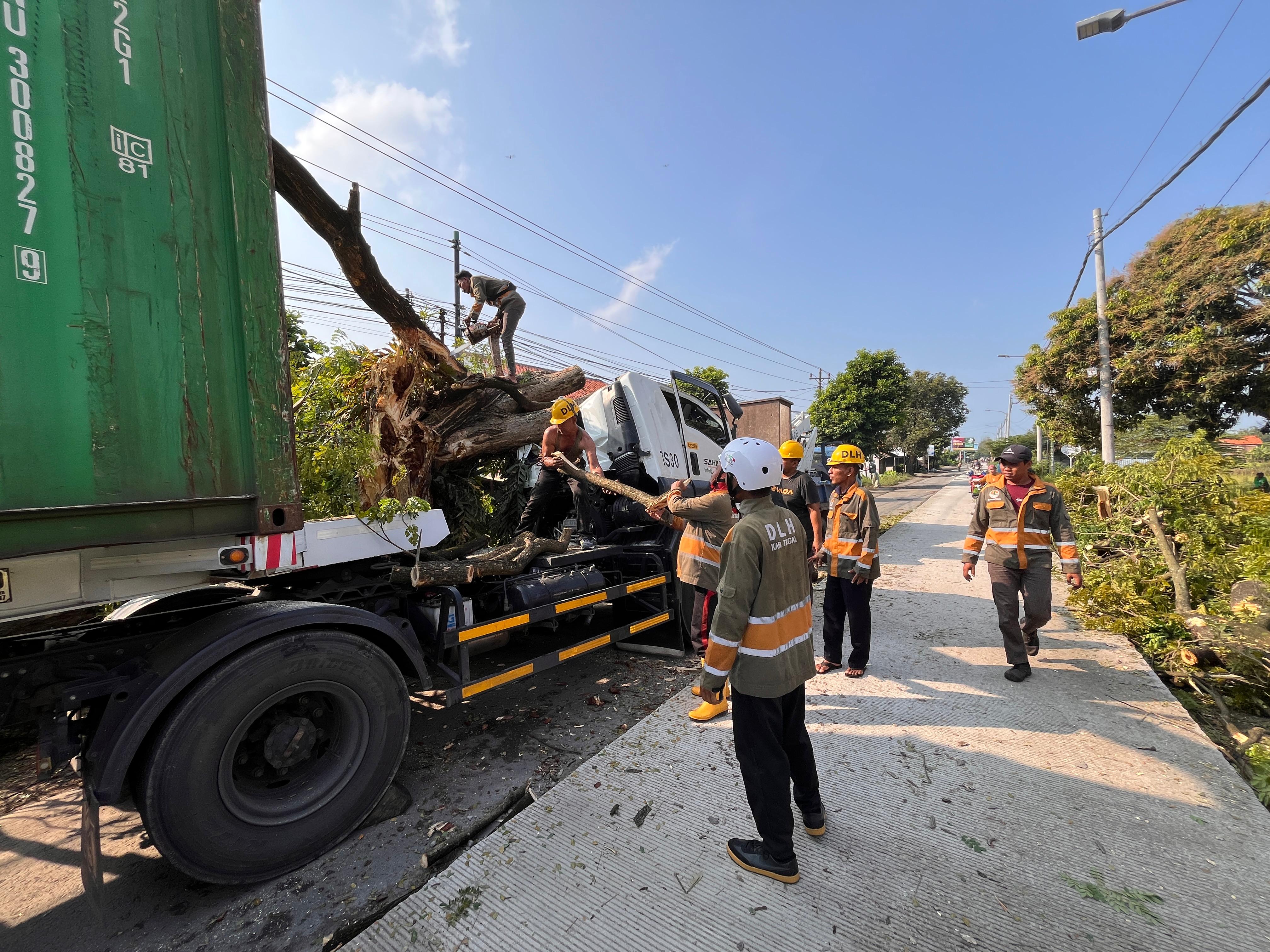 Ranting Tersangkut Box Kontainer, Pohon Tumbang di Mindaka Tegal Hingga Picu Kemacetan