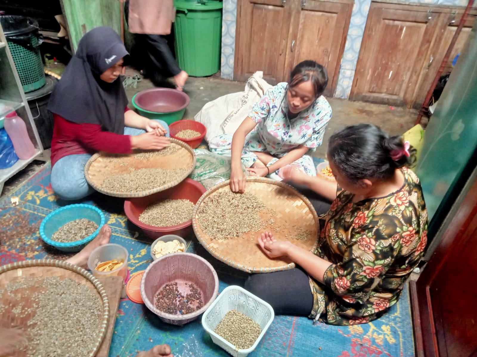 Proses Sortir, Hasilkan Biji Kopi Pilihan