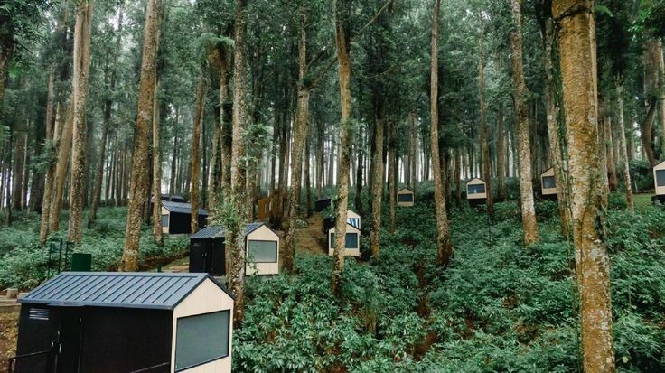 Cara Menikmati Keindahan Alam yang Berbeda. 5 Tempat Glamping di Purwokerto ini Cocok Banget Buat Healing