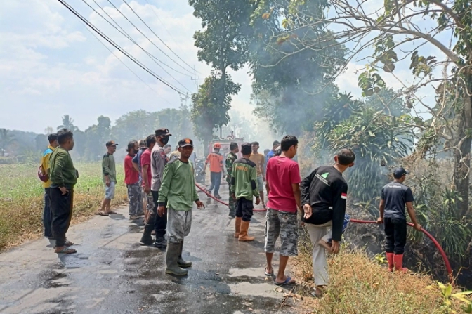 Dua Hektare Lahan Pekarangan di Kabupaten Pemalang Ludes Terbakar