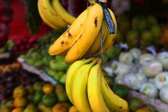 Ibu Hamil Wajib Tahu, Ini Manfaat Konsumsi Pisang secara Rutin untuk Kehamilan 