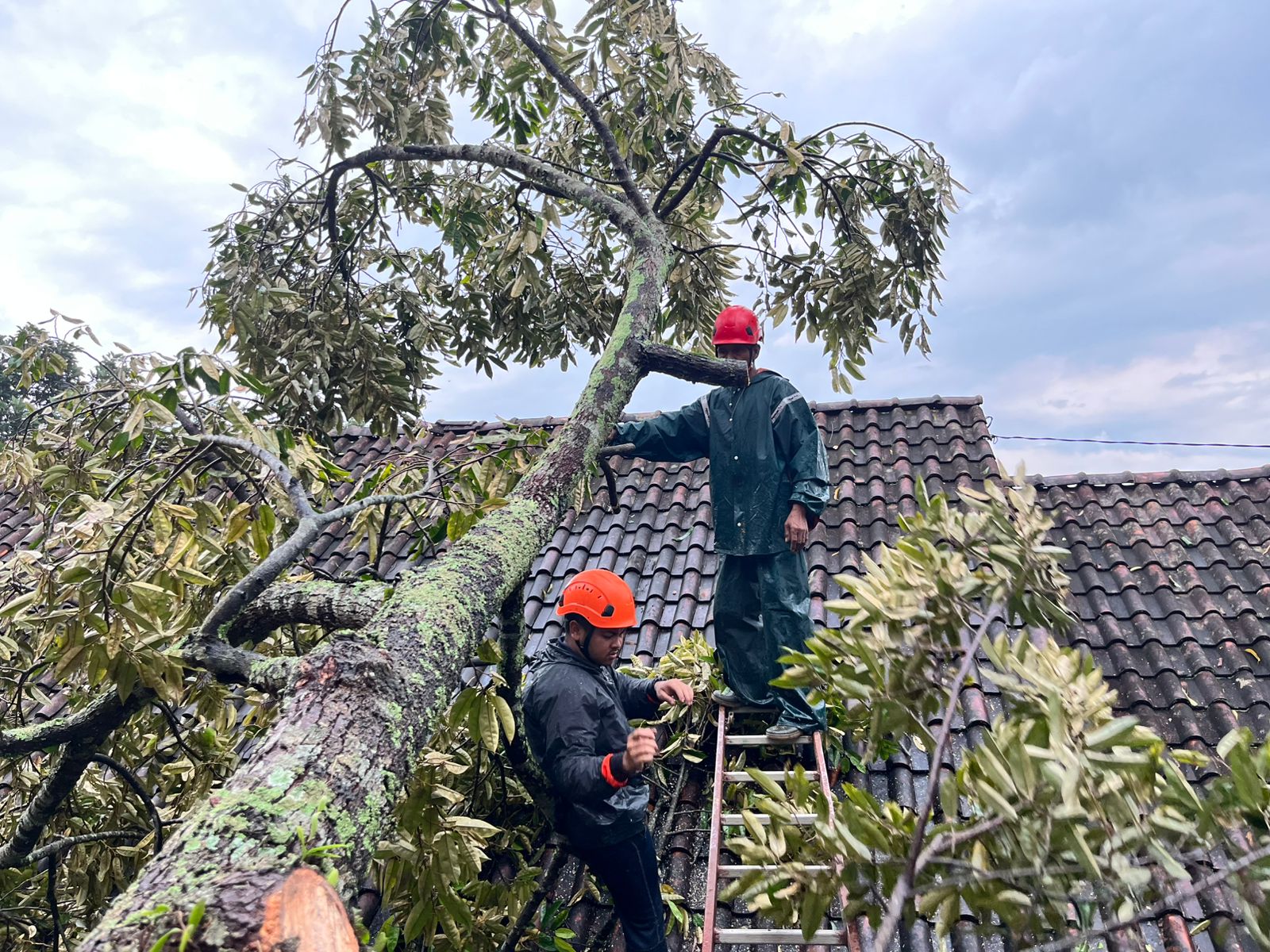 Cuaca Ekstrem, Rumah Rusak Hingga Pohon Tumbang Hampir di 20 Titik di Kota Salatiga