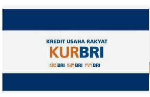 Ingin Pengajuan KUR BRI Cepat Cair, Berikut Panduan Lengkapnya