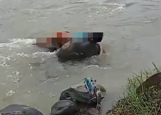 Mayat Pria Ditemukan Tersangkut Batu di Sungai Tersono Batang
