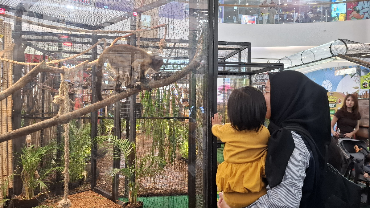 350 Satwa Gembira Loka Serbu The Park Semarang