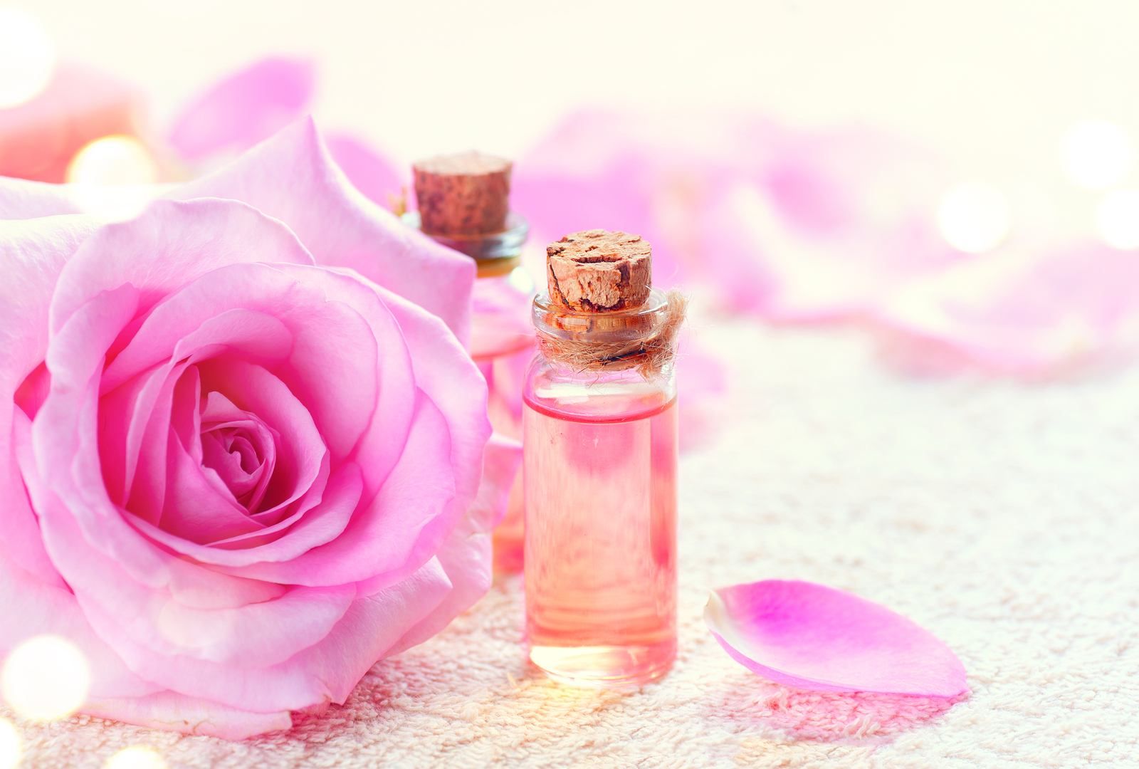Inilah 8 Jenis Bunga yang Sering Dijadikan Aroma untuk Parfum, Ada Wangi Parfum Milikmu?