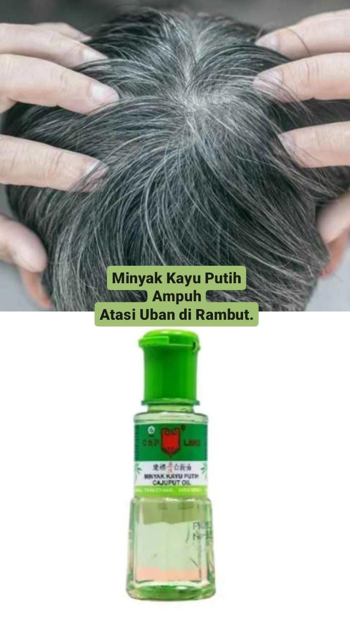 Tips Mengatasi Rambut Uban dengan Minyak Kayu Putih, di Jamin Uban Hilang!