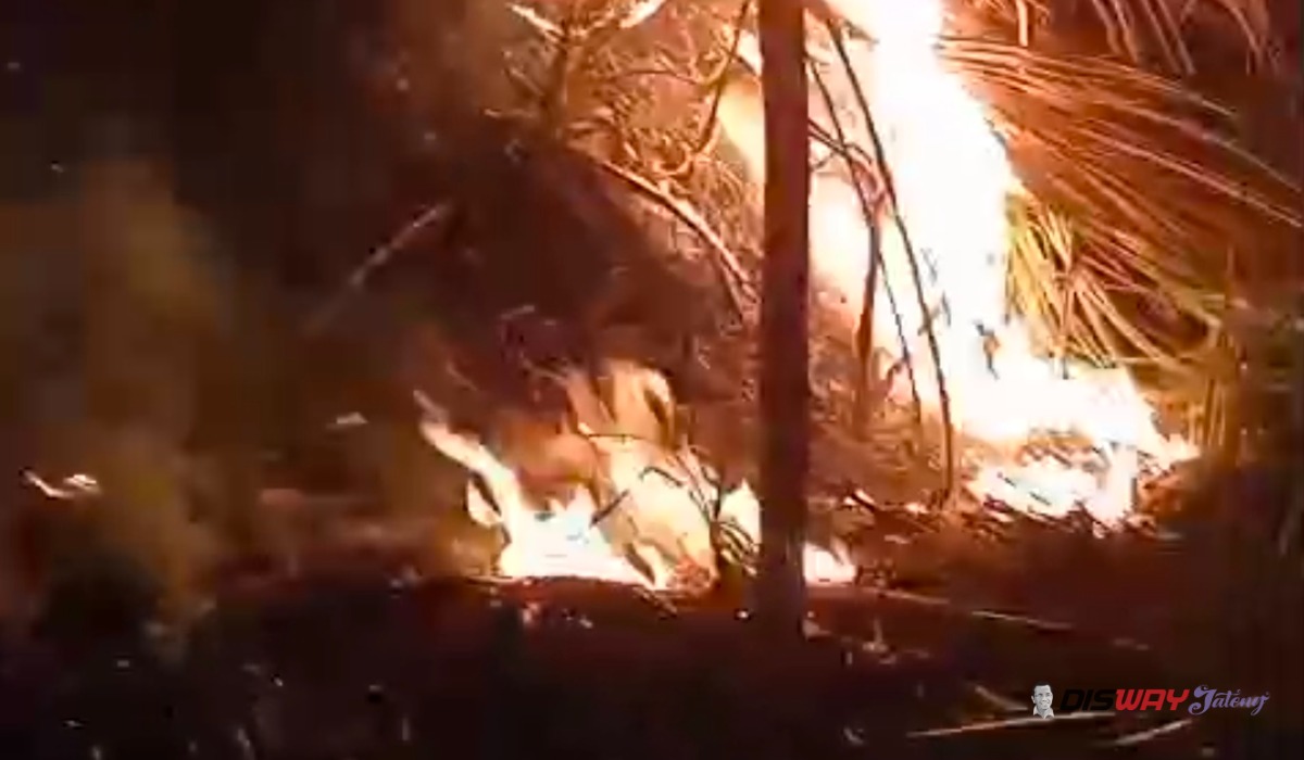 Dua Kebakaran Perbukitan Kebumen dalam Sehari, 3 Hektare Lahan Hangus