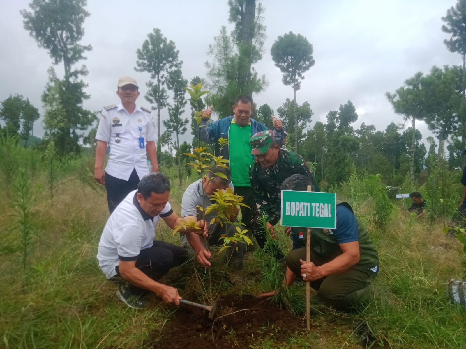 Sinergi Lakukan Penanaman Hutan Lindung Sawangan