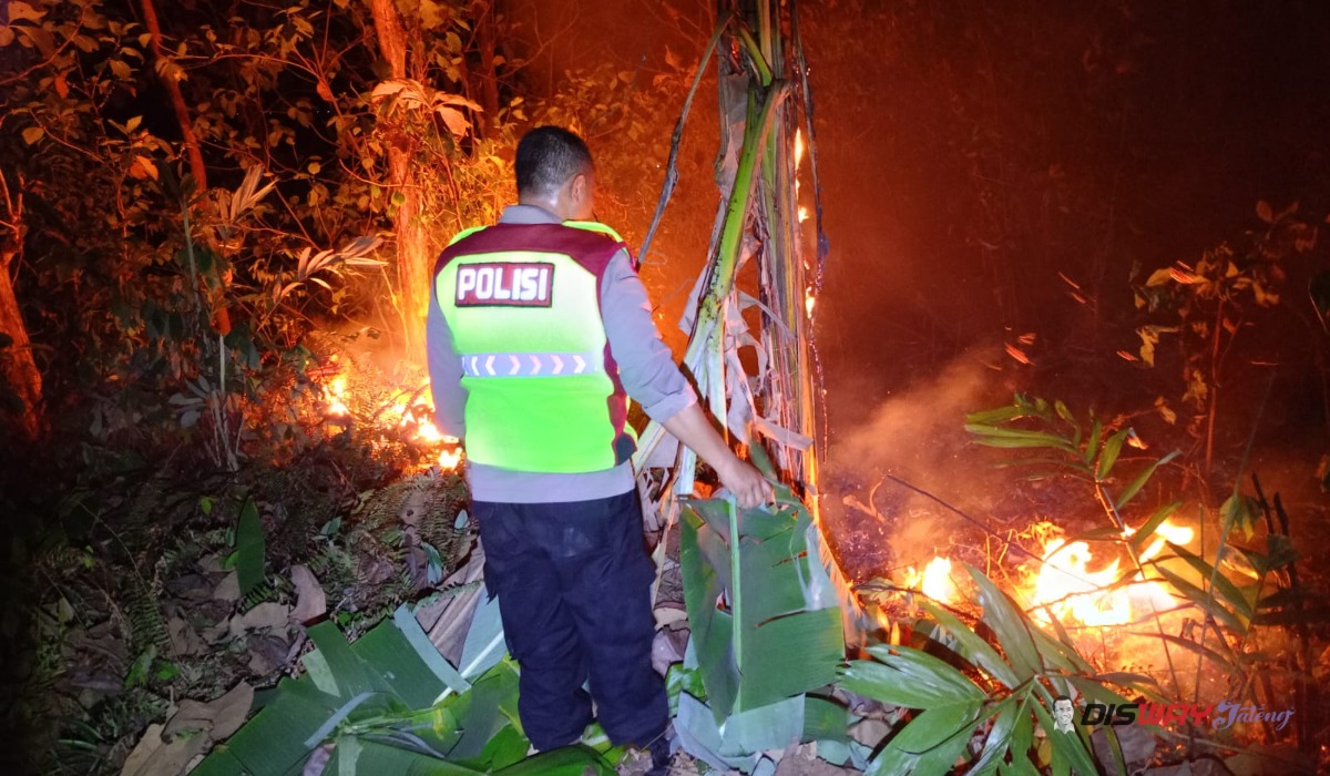 Api Bakar 1,4 Hektare Hutan Jati di Ayah Kebumen, Permukiman Warga Terancam