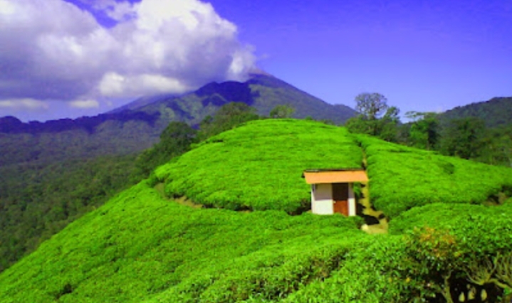 Inilah 6 Tempat Wisata Termurah di Tegal dan Cocok Banget Buat Liburan Keluarga Anda Loh!