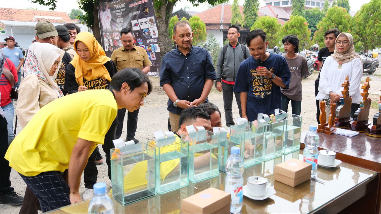 Guppy Contest Nasional Jadi Ajang Tingkatan Minat Pecinta Ikan