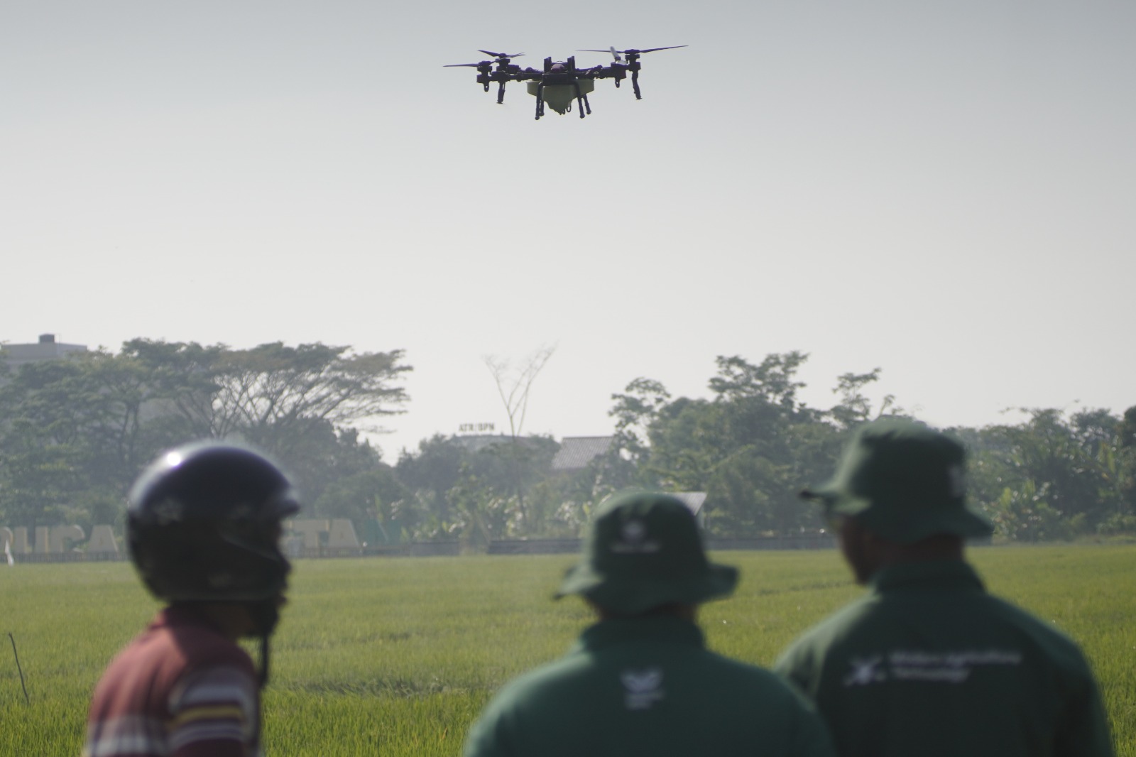 Drone Bikin Petani Batang Tak Lagi Mandi Pestisida, Semprot Sawah Cuma 30 Menit