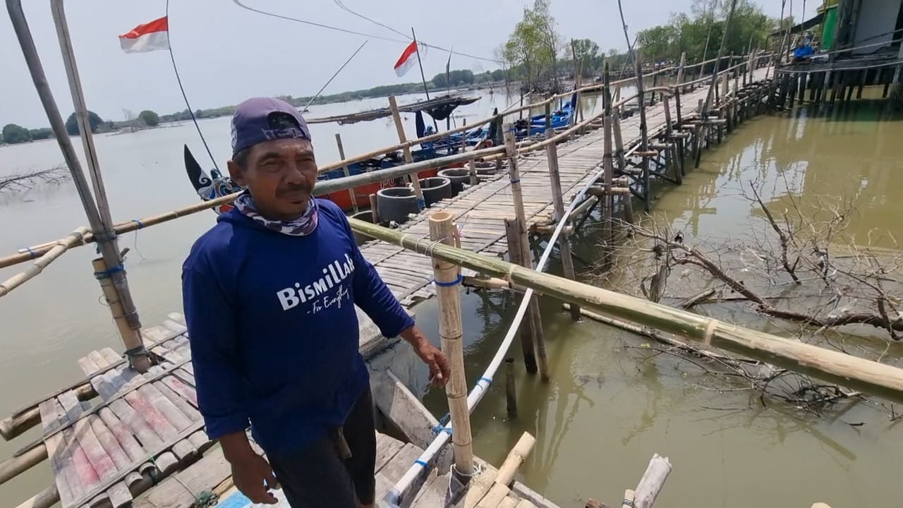 Terancam Kritis, Masrukan Nelayan Pesisir Demak Lakukan Perawatan Mangrove 