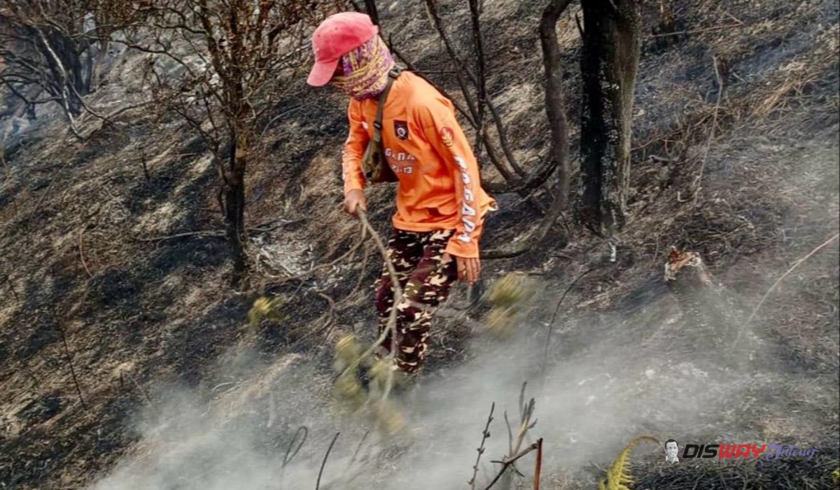 Karhutla Gunung Sumbing Berulang, Warga Minta Embung hingga Drone untuk Cegah Api Meluas