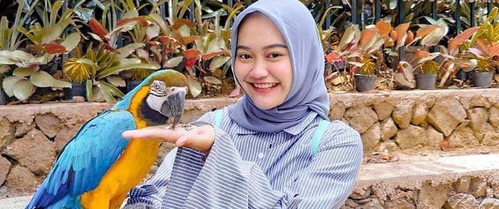 Taman Burung Bandung: Tempat Wisata Keluarga dan Edukasi di Jawa Barat