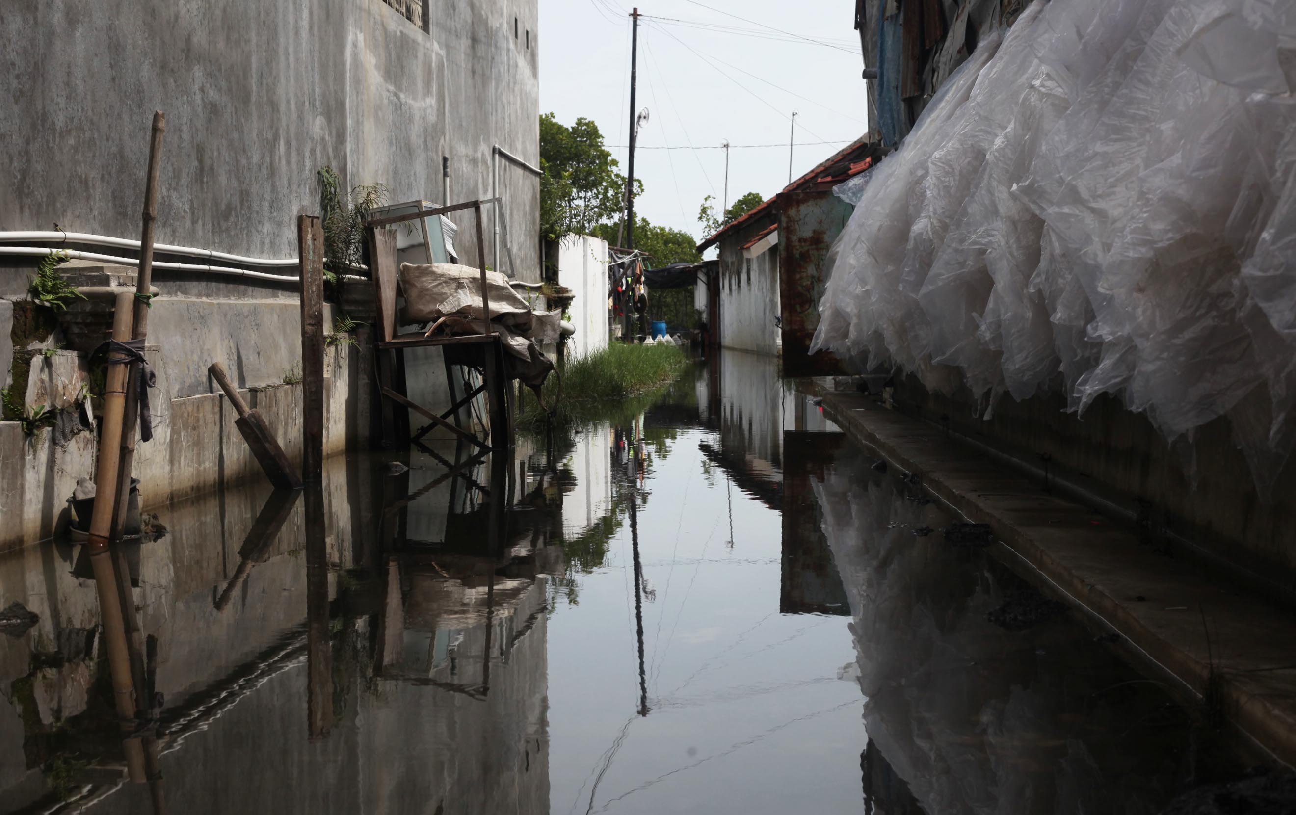 Banjir Rob Kembali Rendam Kampung Mlanyar Kota Tegal  ‎