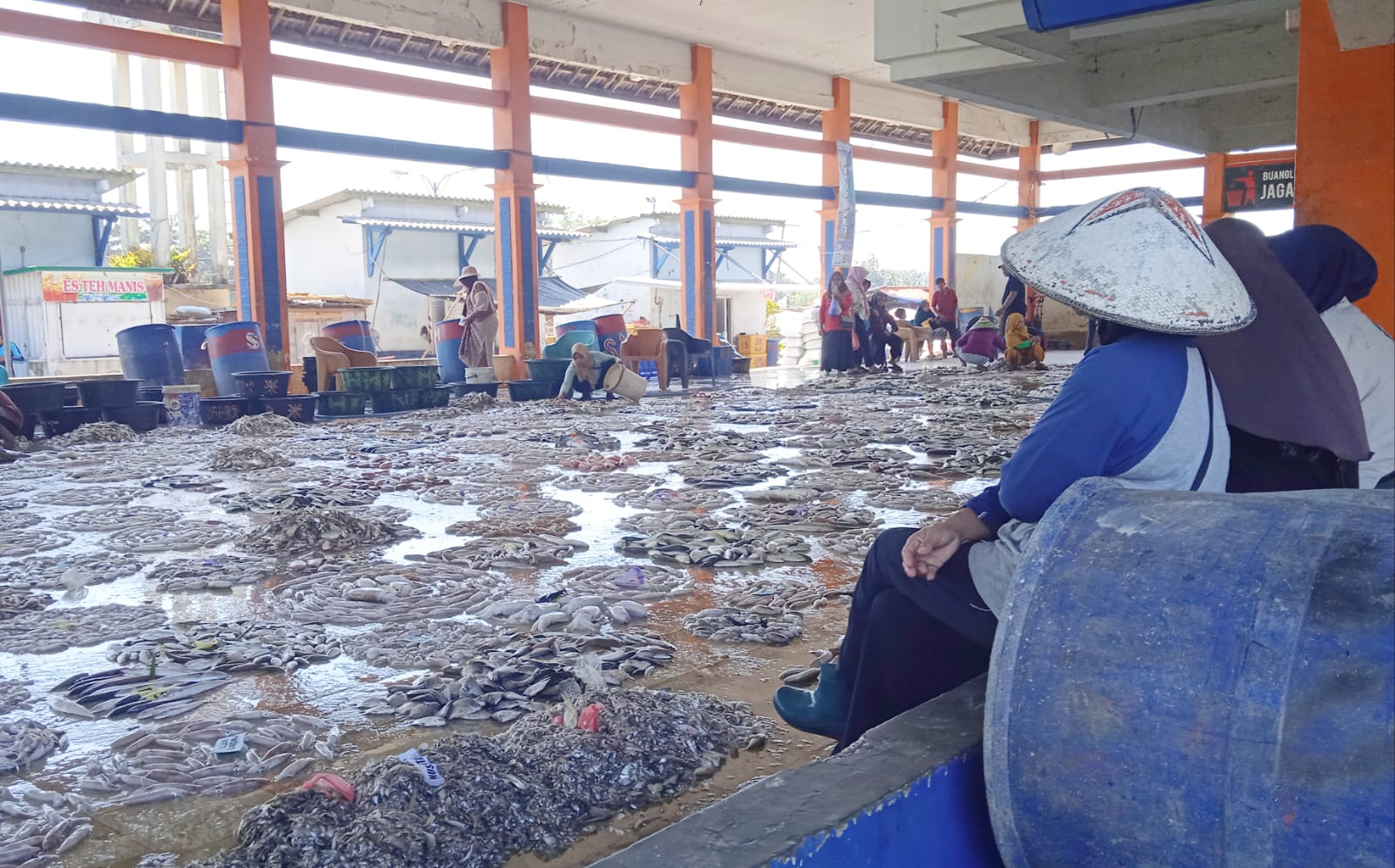 Harga Cumi di TPI Tawang Kendal Tembus Rp70 Ribu per Kilogram