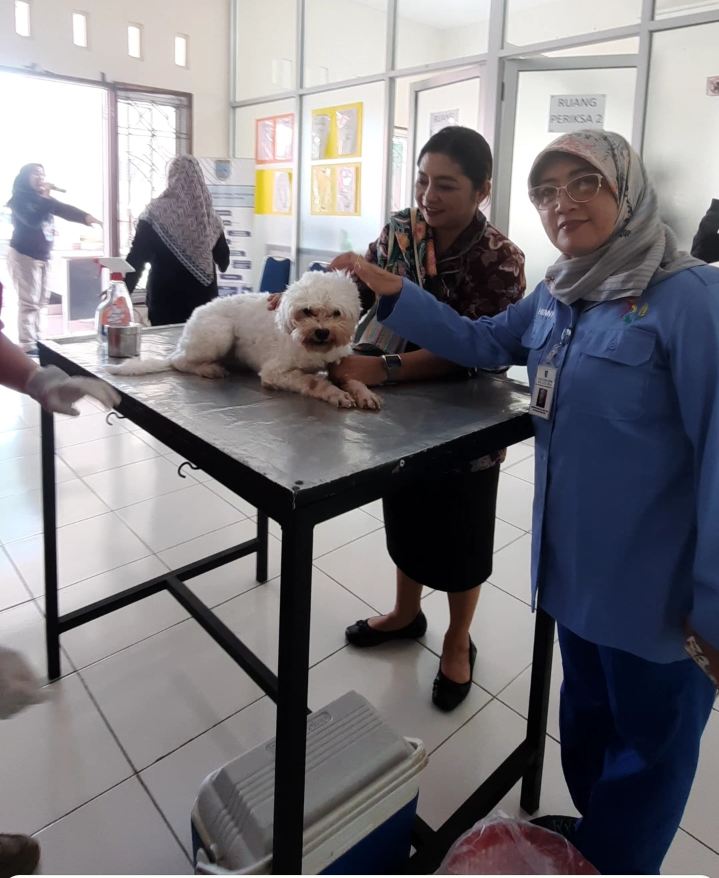 Pendaftaran Vaksinasi dan Sterilisasi Kucing-Anjing di Salatiga Dibatasi 50 Ekor